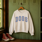 ColorPop Collegiate V-Neck Sweatshirt