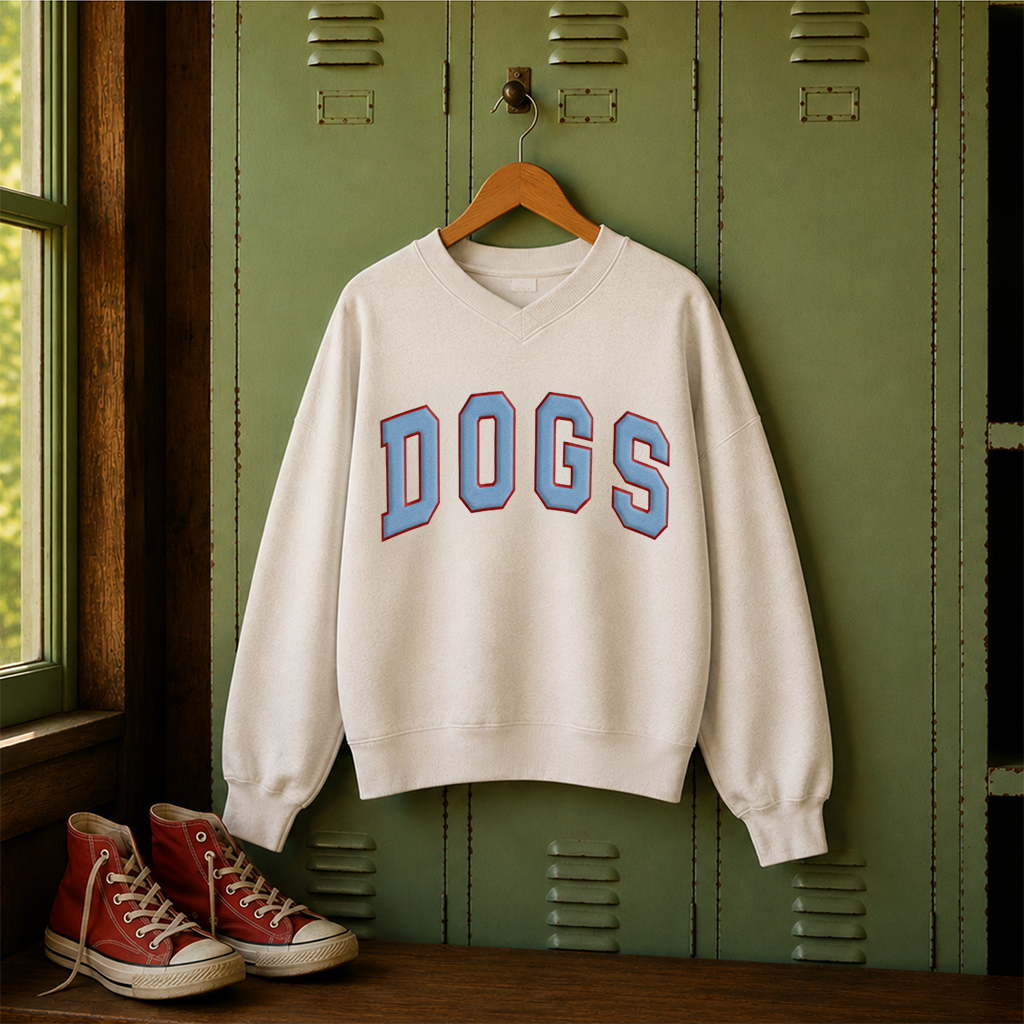 ColorPop Collegiate V-Neck Sweatshirt
